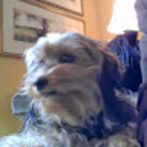 Meet your Posher, Jean